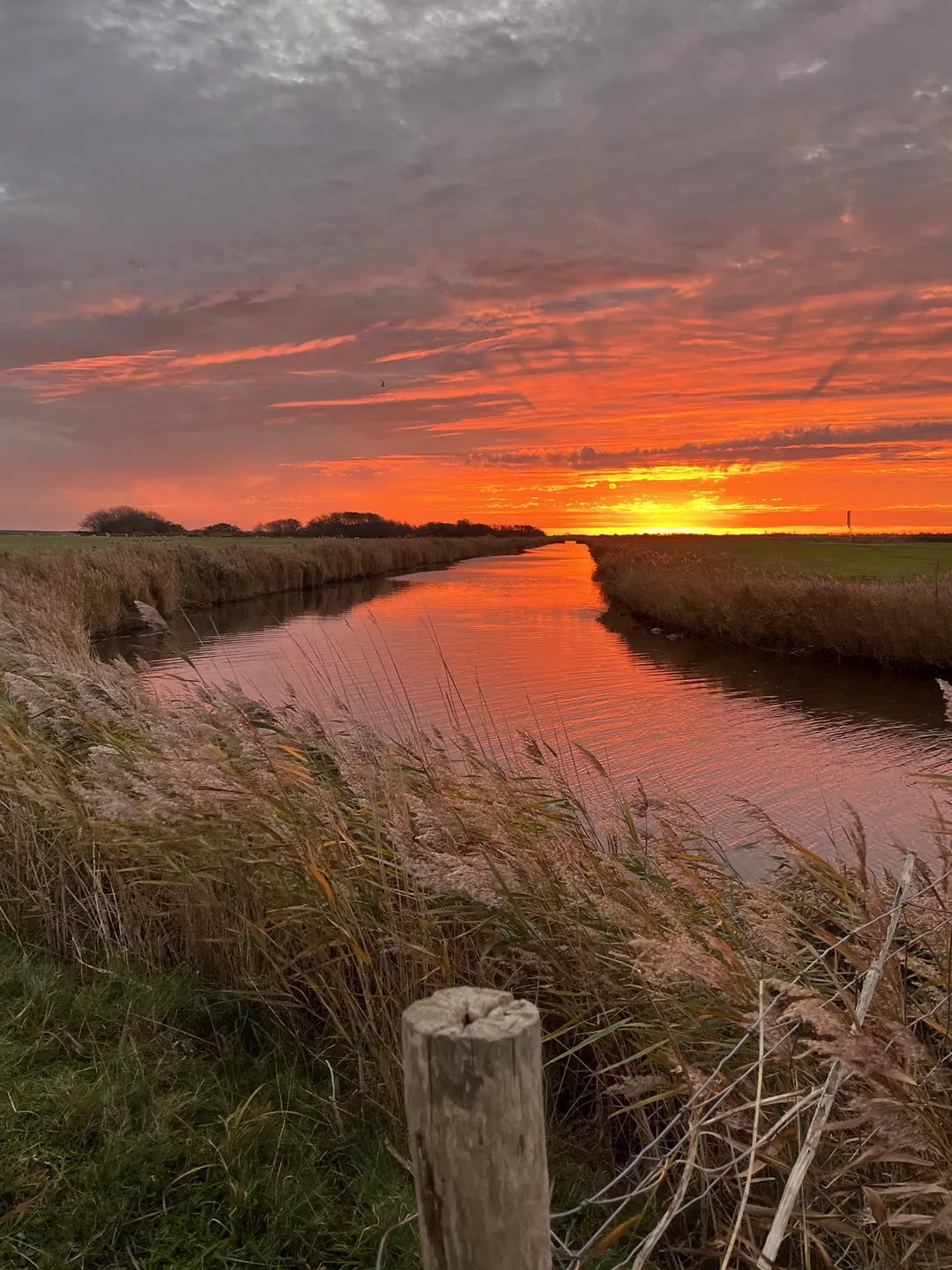 Sloot met wuivend riet langs de oevers onder een vuurrode lucht bij zonsondergang